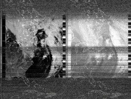 Anastasiia Raina Associate Professor at RISD