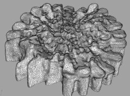 Anastasiia Raina's research team using SEM Microscope at the Nature Lab Anastasiia Raina Associate Professor at RISD