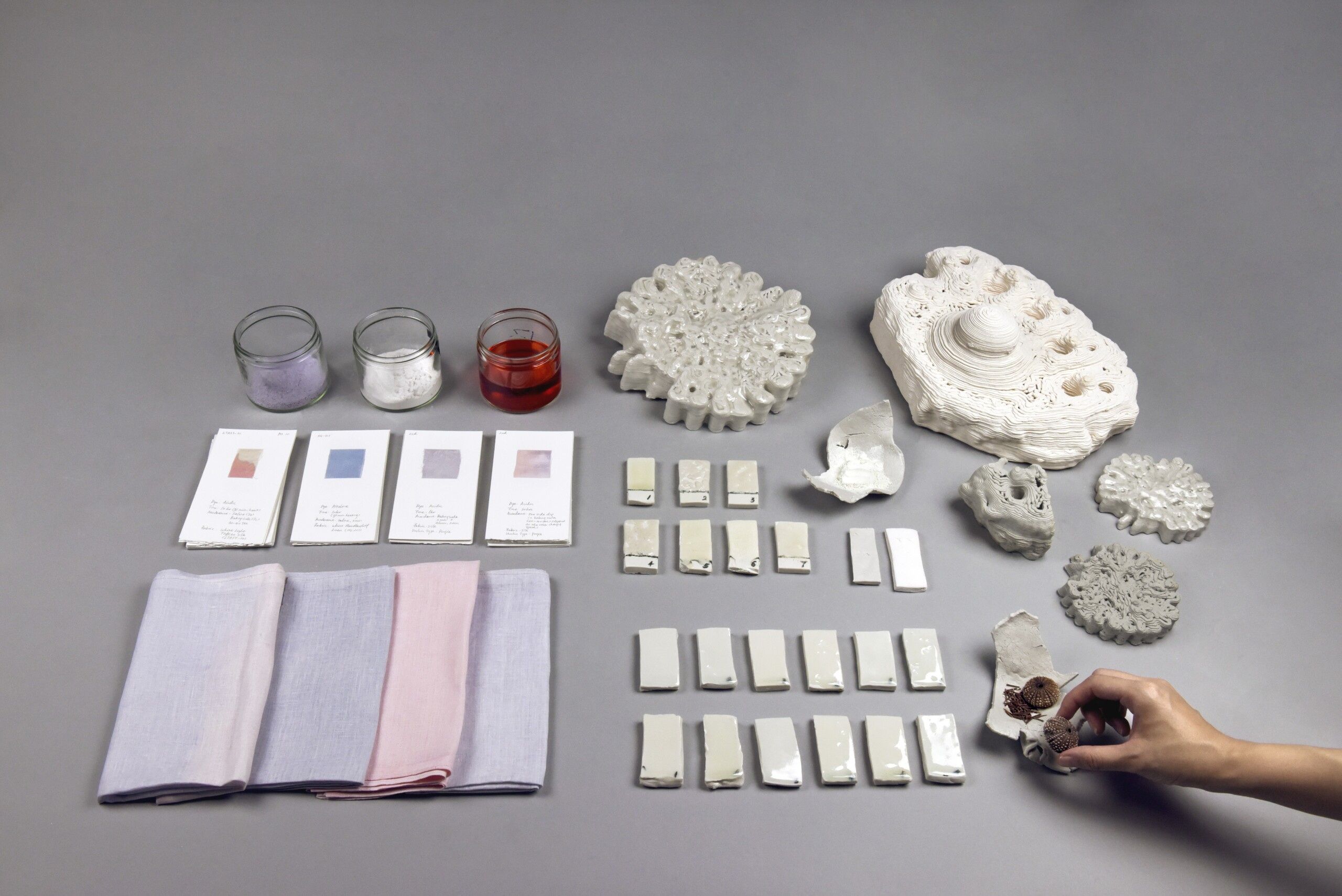 Adaptive Ecologies RISD Hyundai Anastasiia Raina Biomaterial Research Urchin Ceramics Anastasiia Raina Associate Professor at RISD