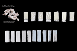 Adaptive Ecologies RISD Hyundai Anastasiia Raina Biomaterial Research Urchin Ceramics Anastasiia Raina Associate Professor at RISD