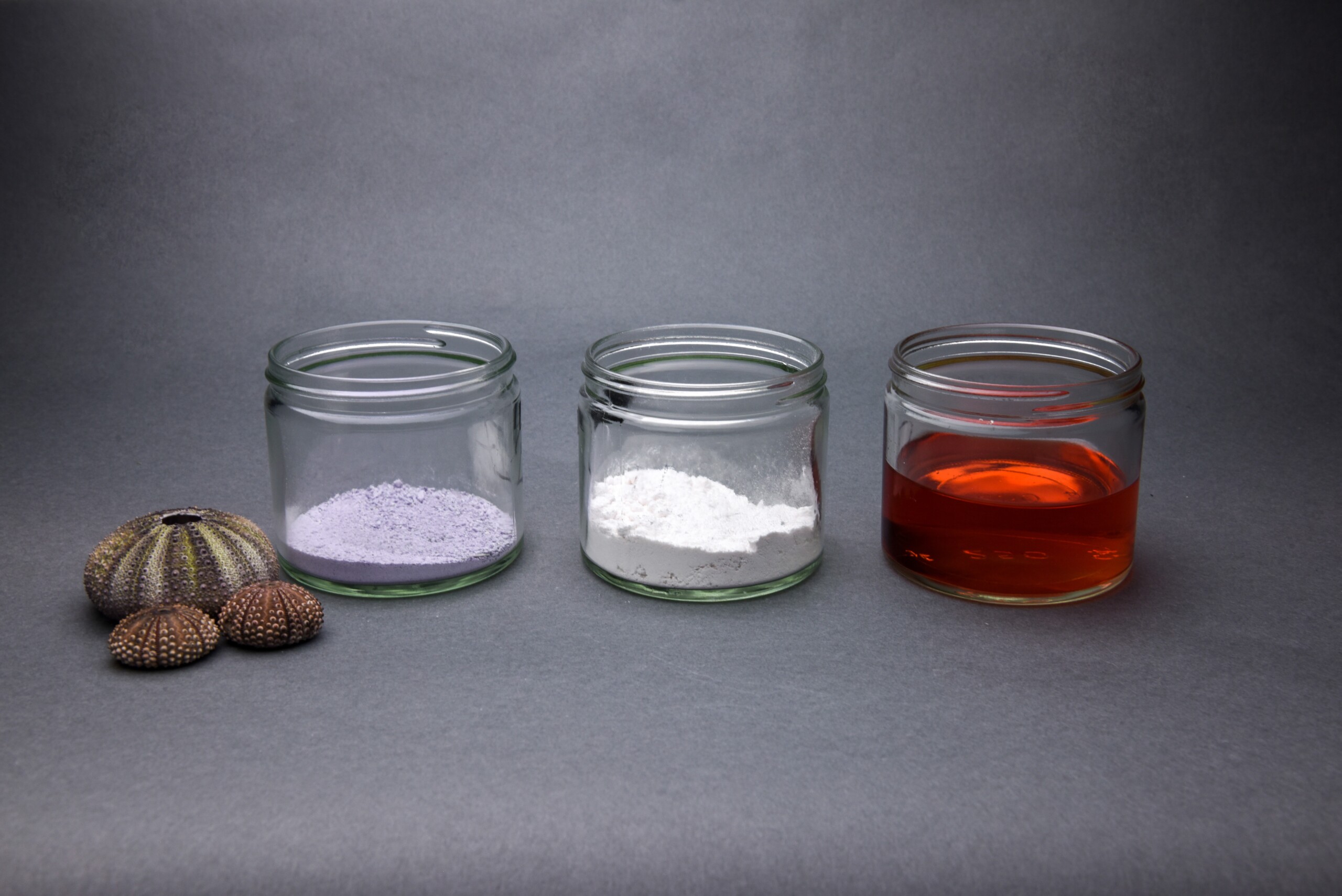 Adaptive Ecologies Hyundai Anastasiia Raina Urchin Dye Anastasiia Raina Associate Professor at RISD