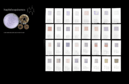 Adaptive Ecologies RISD Hyundai Anastasiia Raina Biomaterial Research Urchin Ceramics Anastasiia Raina Associate Professor at RISD