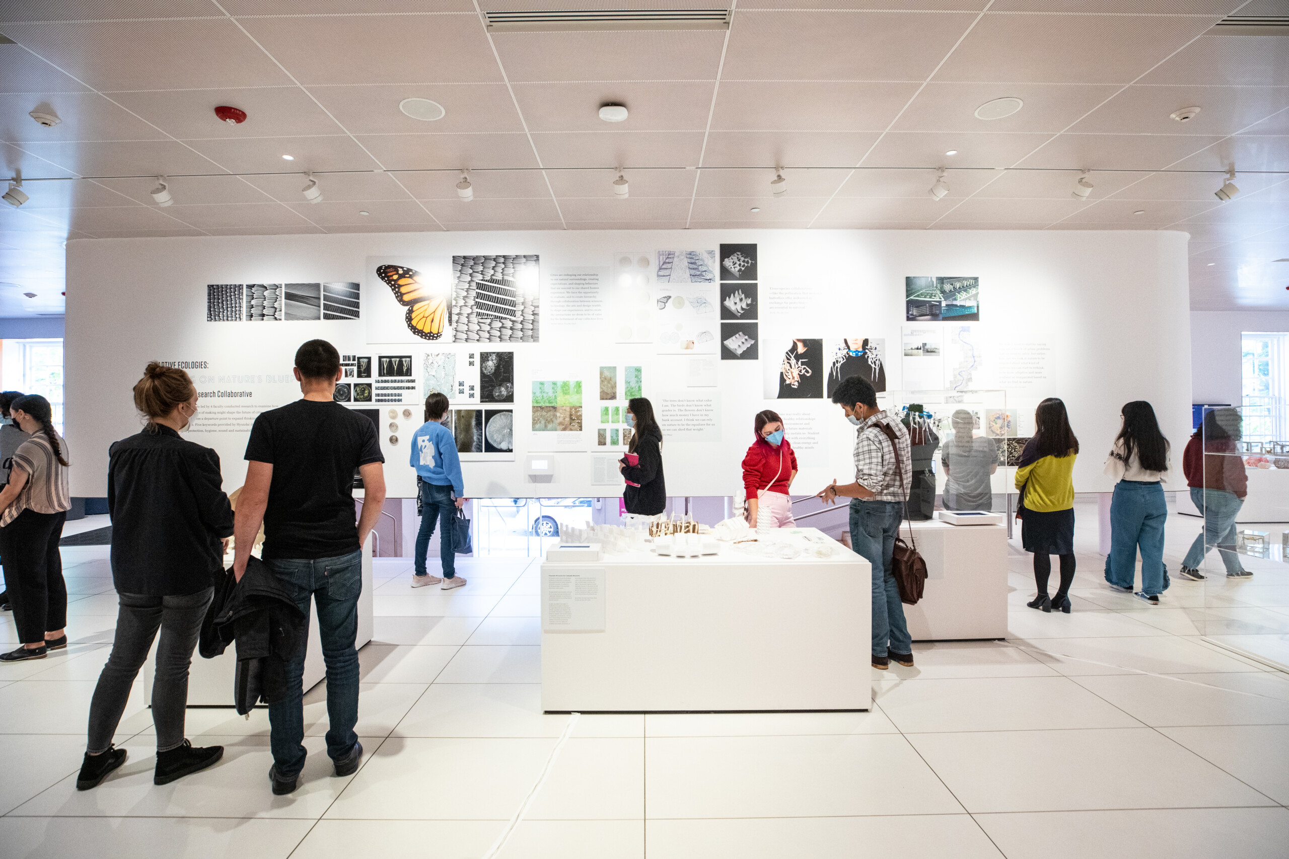 Adaptive Ecologies Exhibition at RISD Anastasiia Raina Associate Professor at RISD