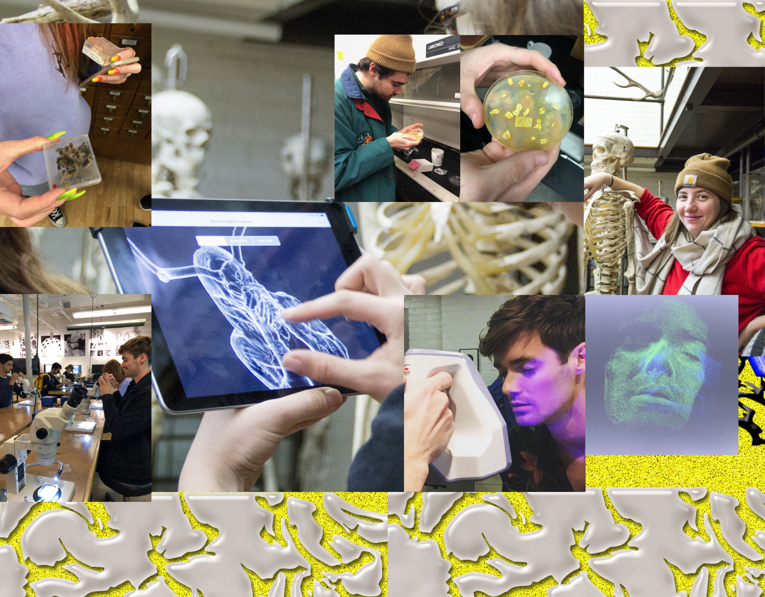 Anastasiia Raina Risd Students Anastasiia Raina Associate Professor at RISD