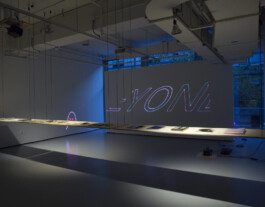 Yale School of Art Graduation show Anastasiia Raina Associate Professor at RISD