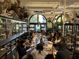 Biomorphic Typography Workshop Anastasiia Raina Anastasiia Raina Associate Professor at RISD