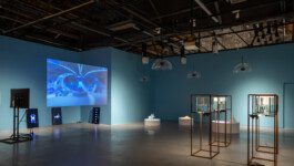 Exhibition | Entangled: bio/media – Chronus Art Center, Shanghai Anastasiia Raina Associate Professor at RISD