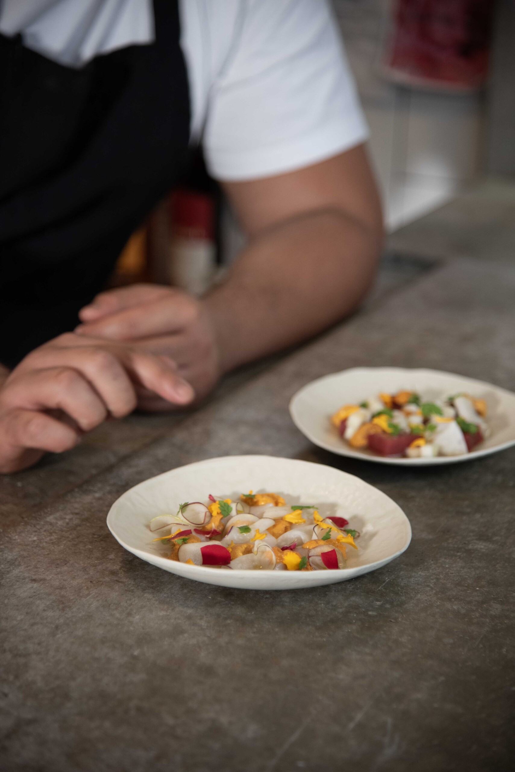 Urchin Futures Anastasiia Raina Associate Professor at RISD