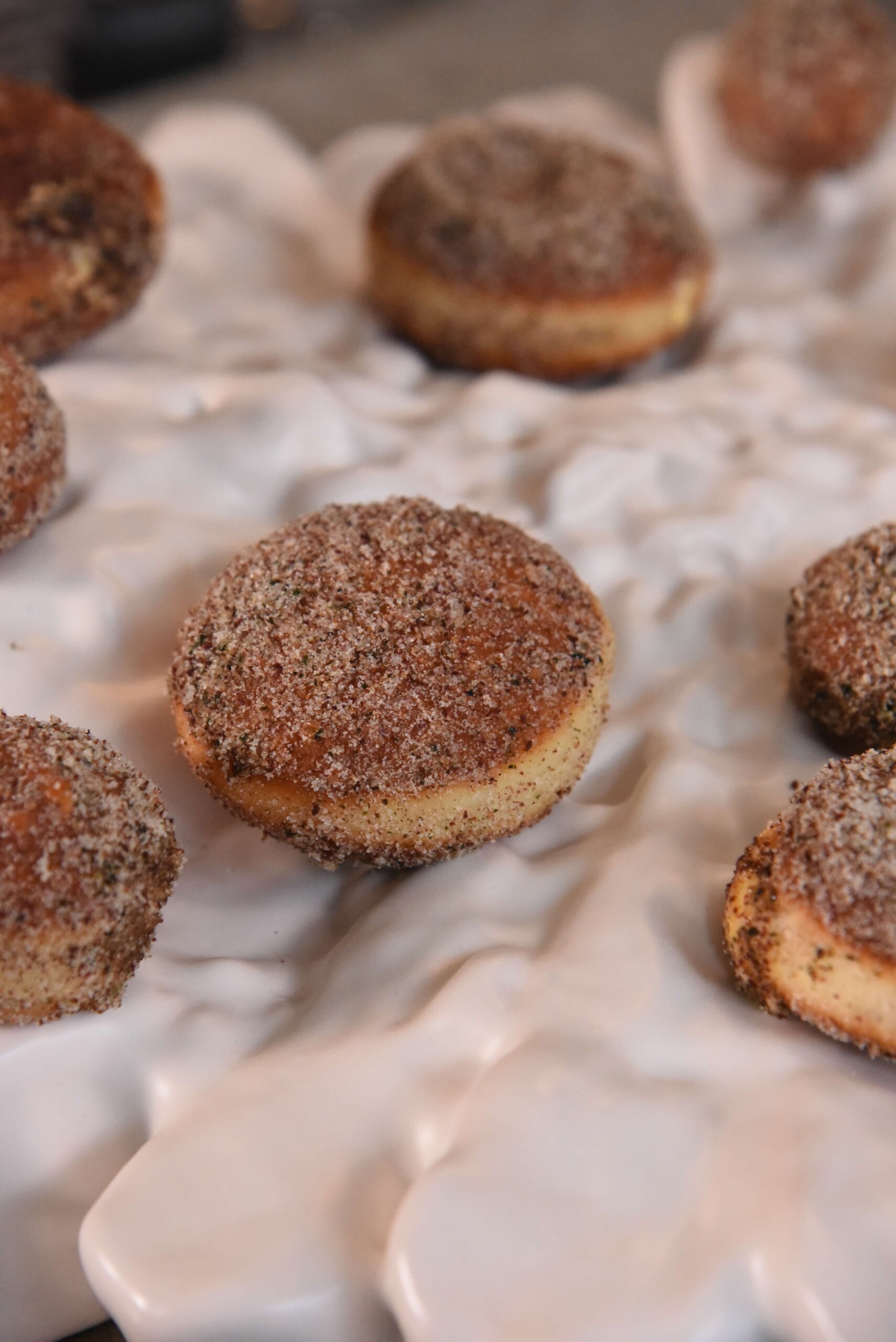 Urchin Donuts Anastasiia Raina Associate Professor at RISD