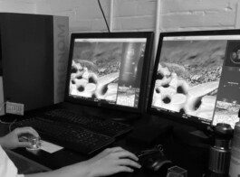 SEM Microscope at the Nature Lab Anastasiia Raina Associate Professor at RISD