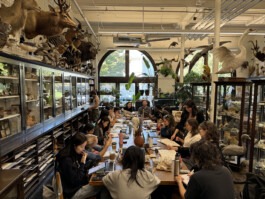 Biomorphic Typography RISD Nature Lab Anastasiia Raina Anastasiia Raina Associate Professor at RISD