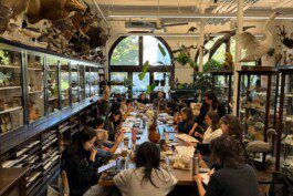 6 Anastasiia Raina Associate Professor at RISD