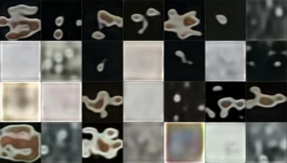 Anastasiia Raina Form Noise To Form (3) Anastasiia Raina Associate Professor at RISD