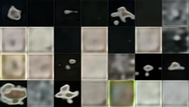 Anastasiia Raina Form Noise To Form (6) Anastasiia Raina Associate Professor at RISD