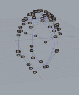 Anastasiia Raina Form Noise To Form (8) Anastasiia Raina Associate Professor at RISD