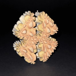 BT14 Anastasiia Raina Associate Professor at RISD