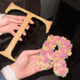 Biomorphic Typography Anastasiia Raina Associate Professor at RISD