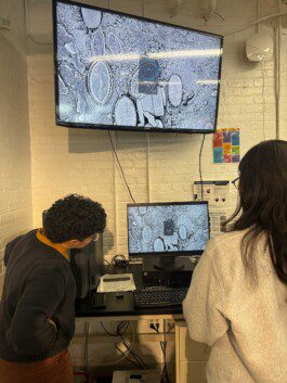 Biomorphictypography Anastasiia Raina Associate Professor at RISD