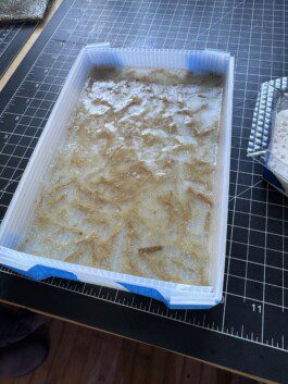 Img 3824 Anastasiia Raina Associate Professor at RISD