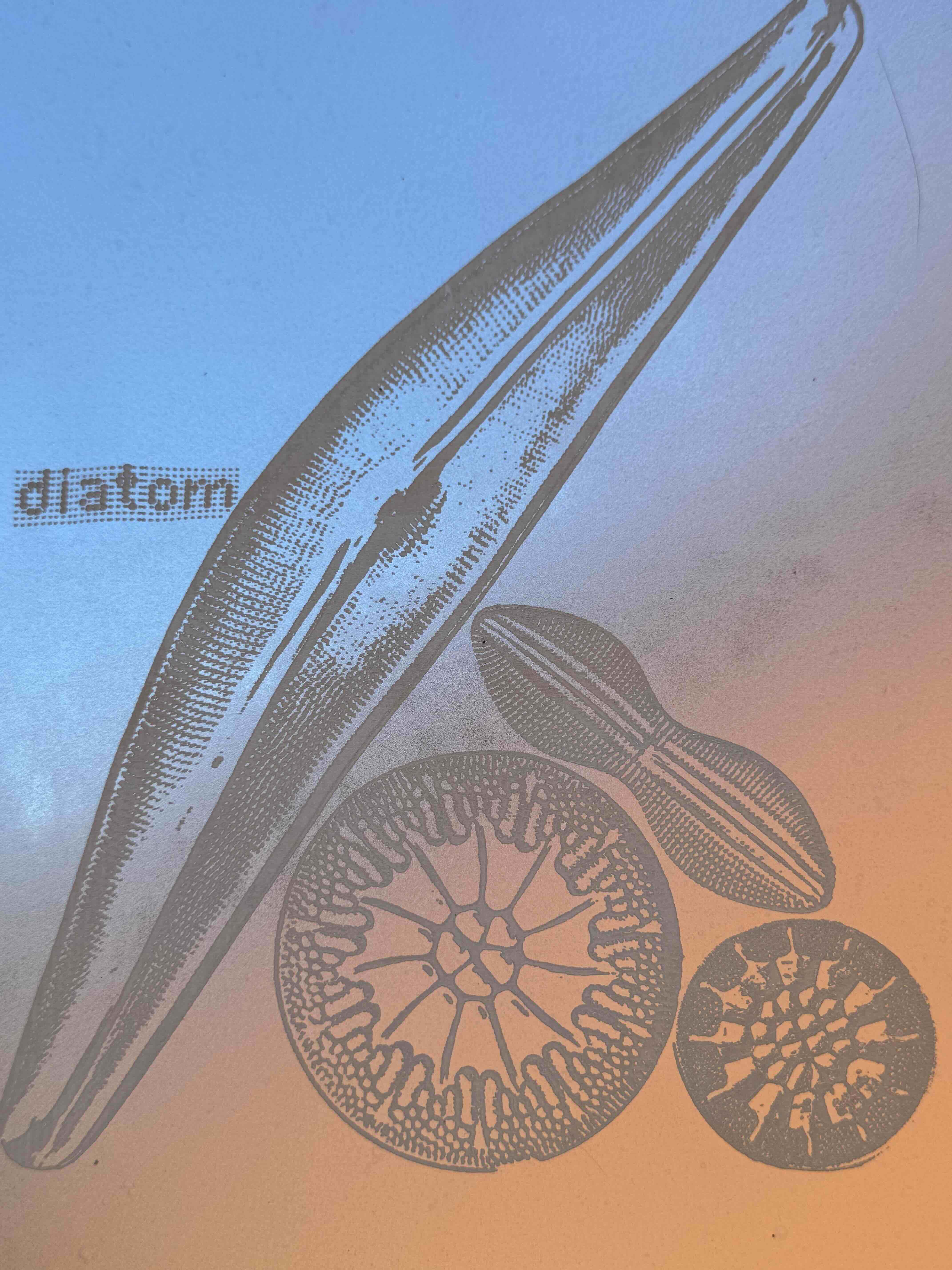 Img 4023 Anastasiia Raina Associate Professor at RISD