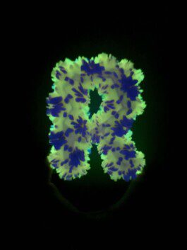 Img 4177 Anastasiia Raina Associate Professor at RISD