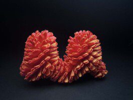 Img 4412 Anastasiia Raina Associate Professor at RISD