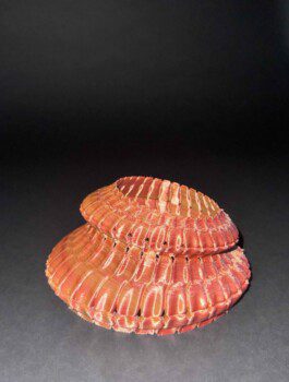 Img 4425 Anastasiia Raina Associate Professor at RISD