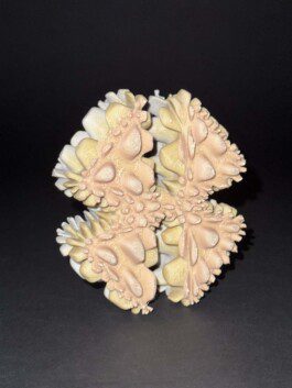 Img 4447 Anastasiia Raina Associate Professor at RISD