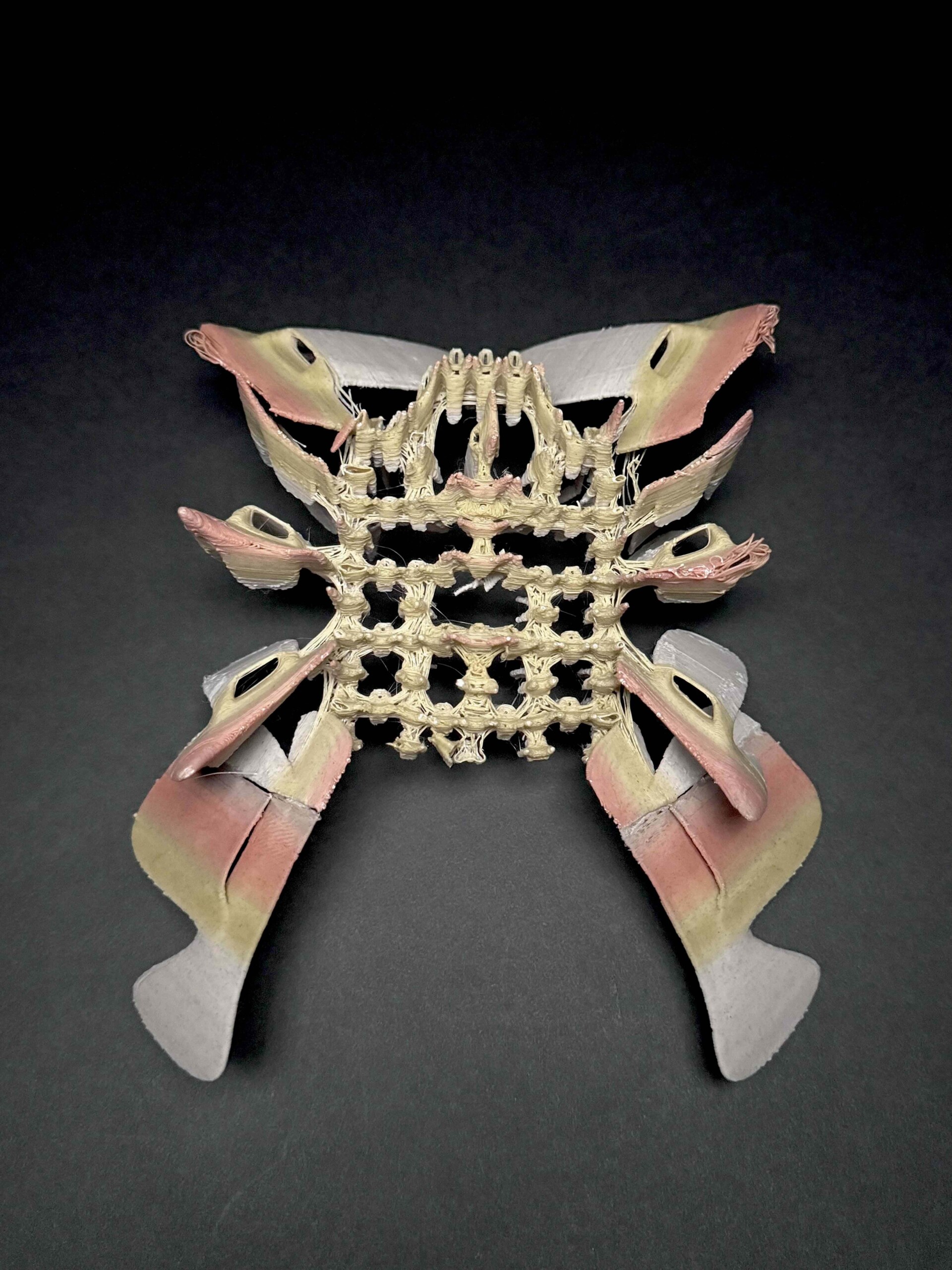 Img 4462 Anastasiia Raina Associate Professor at RISD