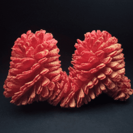 M Anastasiia Raina Associate Professor at RISD