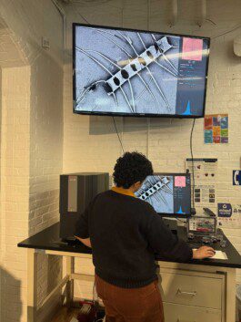 Sem Anastasiia Raina Associate Professor at RISD