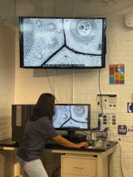 Semimaging Anastasiia Raina Associate Professor at RISD