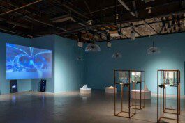 Thumb3 Anastasiia Raina Associate Professor at RISD