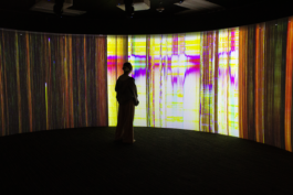  Anastasiia Raina Associate Professor at RISD